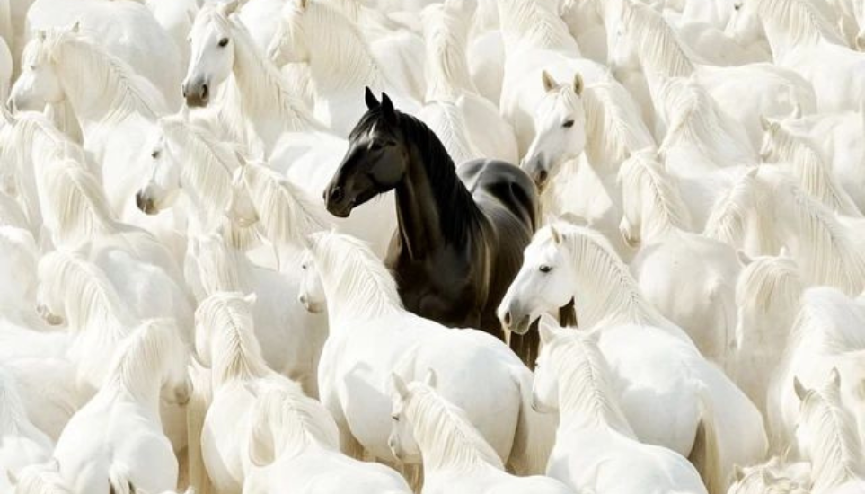 el complacer a los demás estás reprimiendo tu autenticidad por Damari Vergara